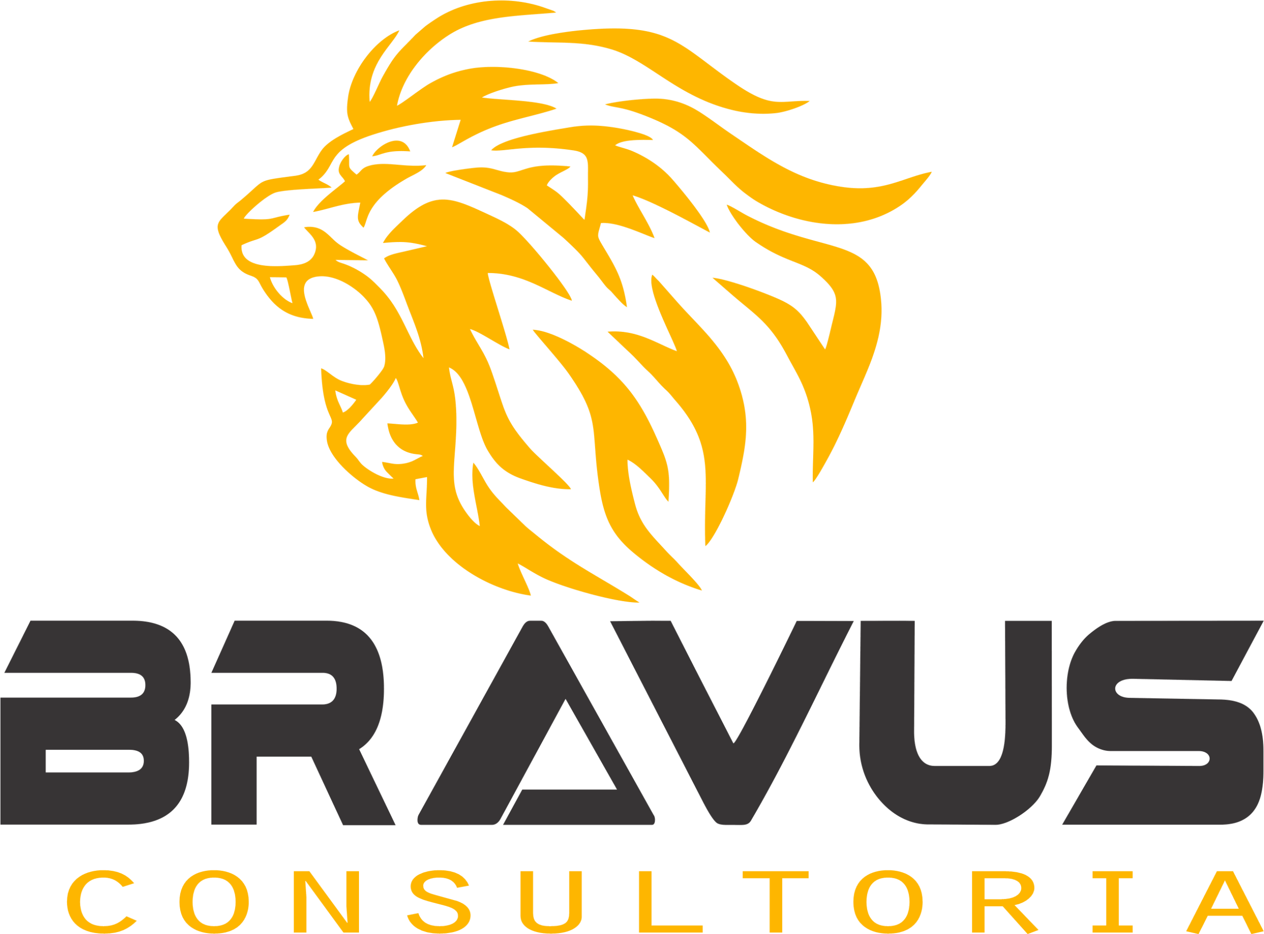Bravus Consultoria